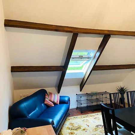 Appartement Charmant Orgnac-Sur-Vezere Avec Jardin Et Parking 外观 照片