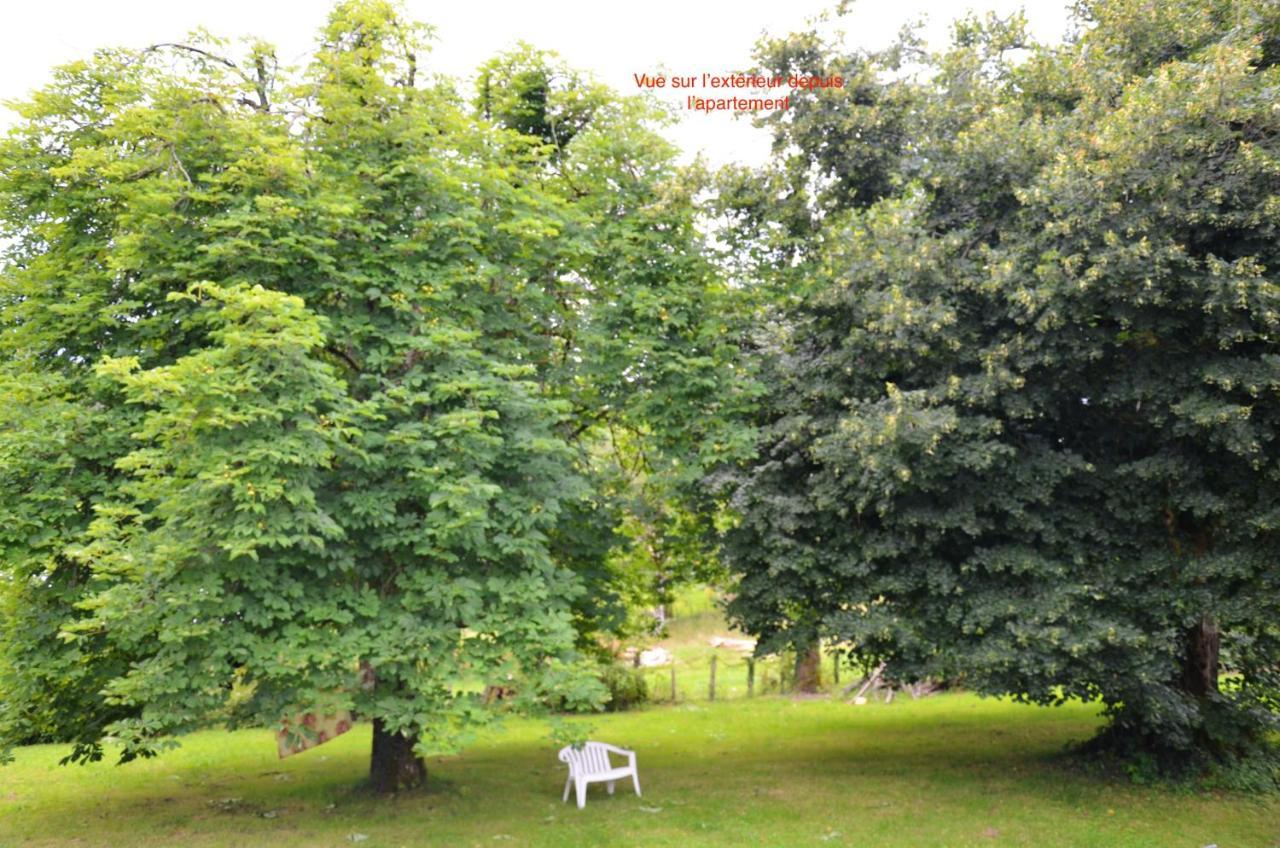 Appartement Charmant Orgnac-Sur-Vezere Avec Jardin Et Parking 外观 照片