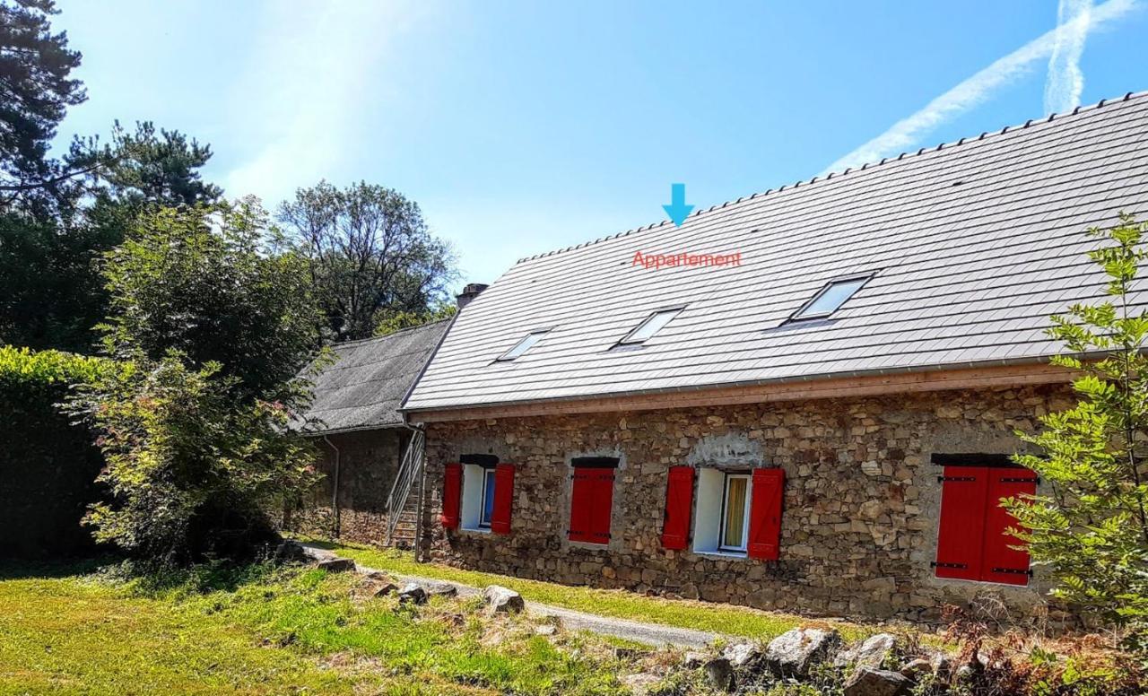 Appartement Charmant Orgnac-Sur-Vezere Avec Jardin Et Parking 外观 照片
